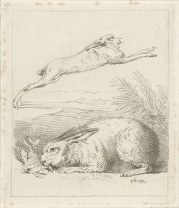 Hase und Kaninchen von Hermanus Numan