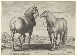 Pferd aus Rom und eine Tragstute
Pferderassen aus den königlichen Ställen von Don Juan von Österreich (Serientitel) von Hieronymus Wierix