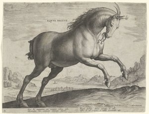 Pferd der Rasse Equus Regius (der Königliche) von Hieronymus Wierix