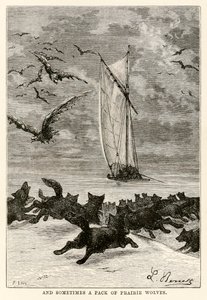 Und manchmal ein Rudel Präriewölfe, aus In 80 Tagen um die Welt von Jules Verne (1828-1905) graviert von Louis, 1873