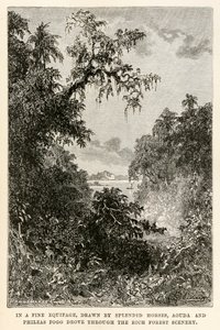 In einer feinen Kutsche, gezogen von prächtigen Pferden, fuhren Aouda und Phileas Fogg durch die reiche Waldlandschaft, aus In 80 Tagen um die Welt von Jules Verne (1828-1905) graviert von Henri-Théophile