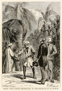 Dort fanden sie sich in der Gegenwart eines Tieres, aus In 80 Tagen um die Welt von Jules Verne, graviert von Adolphe François Pannemaker, 1873