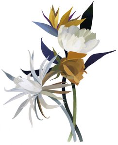Eine imaginäre Blume mit weißem Grund von Hiroyuki Izutsu