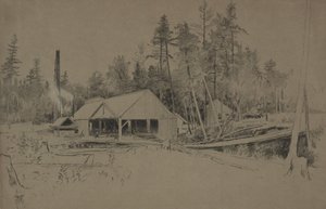 Sägewerk von Homer Dodge Martin