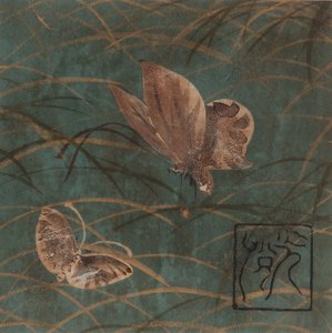Schmetterlinge und Gräser, Edo-Zeit, frühes 17. Jahrhundert