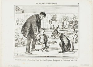 Ein Wissenschaftler versucht, sich mit seinem Sohn und einem großen Känguru aus Zentralamerika anzufreunden, Platte 3 aus La Société D