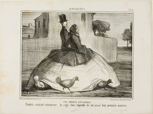 Ein entschuldbarer Fehler. Hühner denken, sie hätten den Käfig gefunden, in dem sie ihre frühe Kindheit verbracht haben, Tafel 21 aus La Crinolomanie von Honoré Victorin Daumier