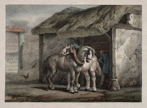 Bauernpferd von Emile Jean Horace Vernet