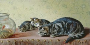 Die Angelgesellschaft