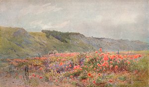 Das Tal der Mohnblumen, um 1879-1903, 1903 von Howard Gull Stormont