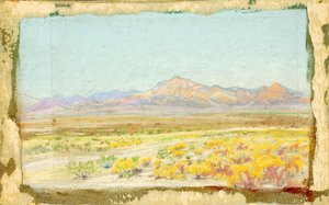 Wüstenlandschaft (#69)