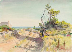 Ohne Titel, spätes 19. - frühes 20. Jahrhundert von Howard Russell Butler