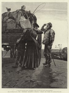 Tess von den d