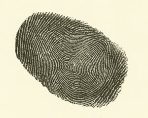Fingerabdruck von Hugh Rowley