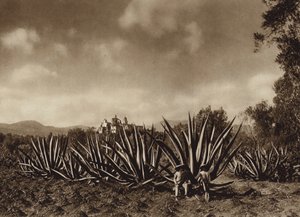 Mexiko: Umgebung von Tepepam mit Agavenfeld von Hugo Brehme