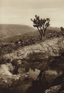 Mexiko: Die Umgebung von Toluca von Hugo Brehme