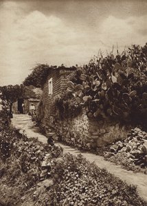 Mexiko: Malerische Ecke in San Angel D F von Hugo Brehme