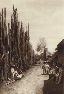 Mexiko: Santiago, Charakteristische Dorfstraße mit säulenförmigen Kakteen von Hugo Brehme