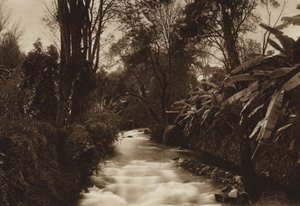 Mexiko: Uruapam von Hugo Brehme