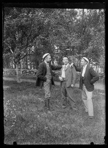 Paul und Hugo Simberg sowie Einar Relander im Niemenlauta-Park von Hugo Simberg