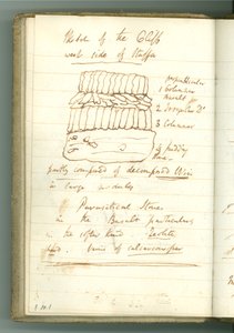 Skizze der Klippe Westseite von Staffa, Seite aus Sir Humphry Davys persönlichem Notizbuch von Humphry Davy