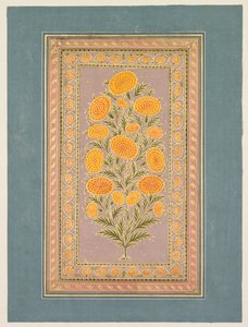 Blühende Ringelblume, ca. 1765