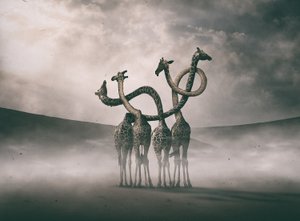 Surreale Giraffenhälse