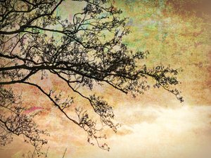 Künstlerische Baum Silhouette