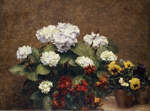 Hortensien und Levkojen mit zwei Töpfen Stiefmütterchen, 1879