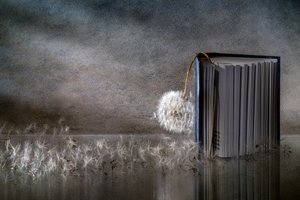 Löwenzahn Buchreflexion