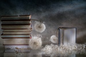 Träumerische Bücher und Löwenzahn