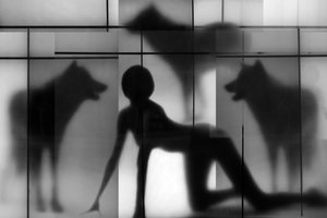 Frau und Wolfsschatten