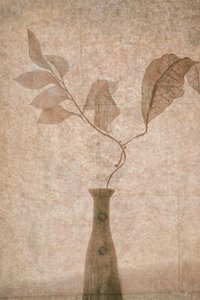 Zarte Sepia-Botanicals