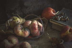 Stimmungsvolle Herbstfrucht von Igor Tokarev