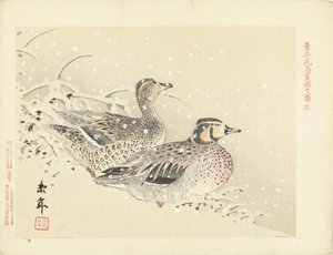 Paar Enten im Schnee