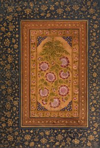 Albumseite mit Stokesia und Porträt von Abdul Rahim Khan-e Khanna