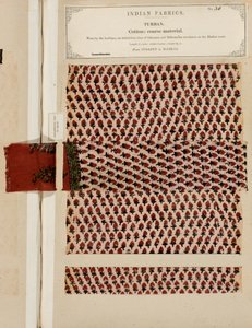 Grobe Baumwollturbaneprobe aus Sydapet in Madras, aus The Collection of the Textile Manufacturers of India, von John Forbes Watson, veröffentlicht 1866 von Indian School