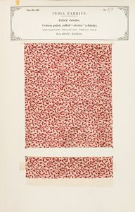 Baumwolldruckprobe aus Bellary in Madras, aus The Collection of the Textile Manufacturers of India, von John Forbes Watson, veröffentlicht 1866 von Indian School