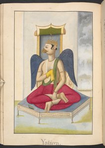 Jatayu, König der Geier von Indian School