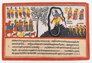 Krishna besiegt die Schlange Kaliya, Seite aus einer verstreuten Bhagavata Purana-Serie, ca. 1775 von Indian School