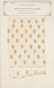 Bestickte Musselinprobe aus Madras, aus The Collection of the Textile Manufacturers of India, von John Forbes Watson, veröffentlicht 1866 von Indian School