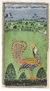 Mythischer Pfau mit Frauenkopf, Hyderabad, ca. 1750