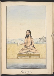Der Weise Sringi von Indian School