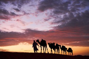 Ein Kameltreiber führt seine Kamele in Erg Chebbi in der Wüste in Merzouga, Marokko, 2019 von Ira Block