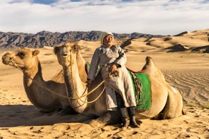 Eine Frau ruht sich mit Kamelen in der Süd-Gobi-Wüste, Mongolei aus, 2015 (Foto)