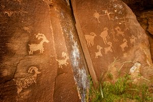 In Nine Mile Canyon, Tafeln von Schafen in der Nähe der Sandhill Crane Petroglyphenstätte, 2005 von Ira Block