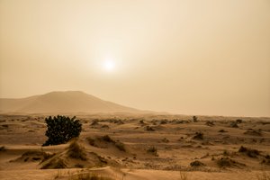 Sanddünen in der Erg Chebbi Wüste im Südosten Marokkos, 2014 (Foto) von Ira Block