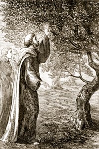 St. Columba verwandelt bittere Früchte in süße, aus The Trias Thaumaturga, oder Drei Wunderwirkende Heilige von Irland, von Mary Cusack (1829-99) veröffentlicht um 1890