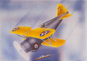 Grumman-Kampfflugzeug