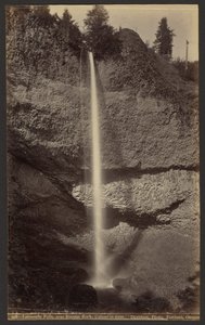 Latourelle Falls, nahe Rooster Rock, Columbia River von Isaac Grundy Davidson